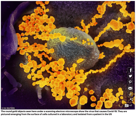 Screen Shot 2020-03-22 at 11.56.37