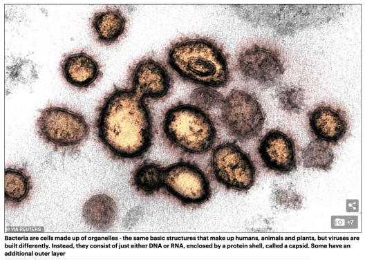 Screen Shot 2020-03-22 at 11.57.00